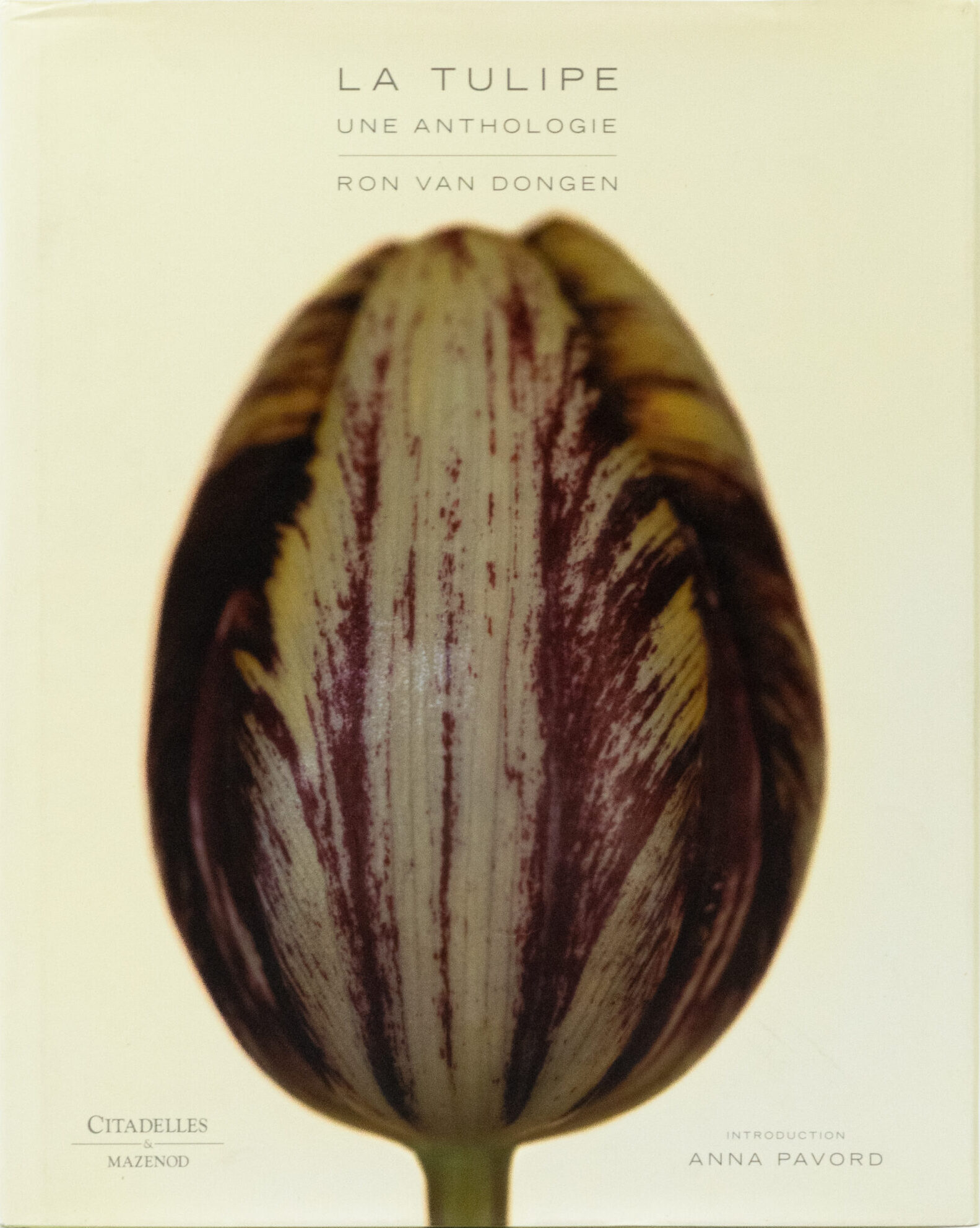 La Tulipe, Une Anthologie / Ron Van Dongen / Citadelles & Mazenod / 2011