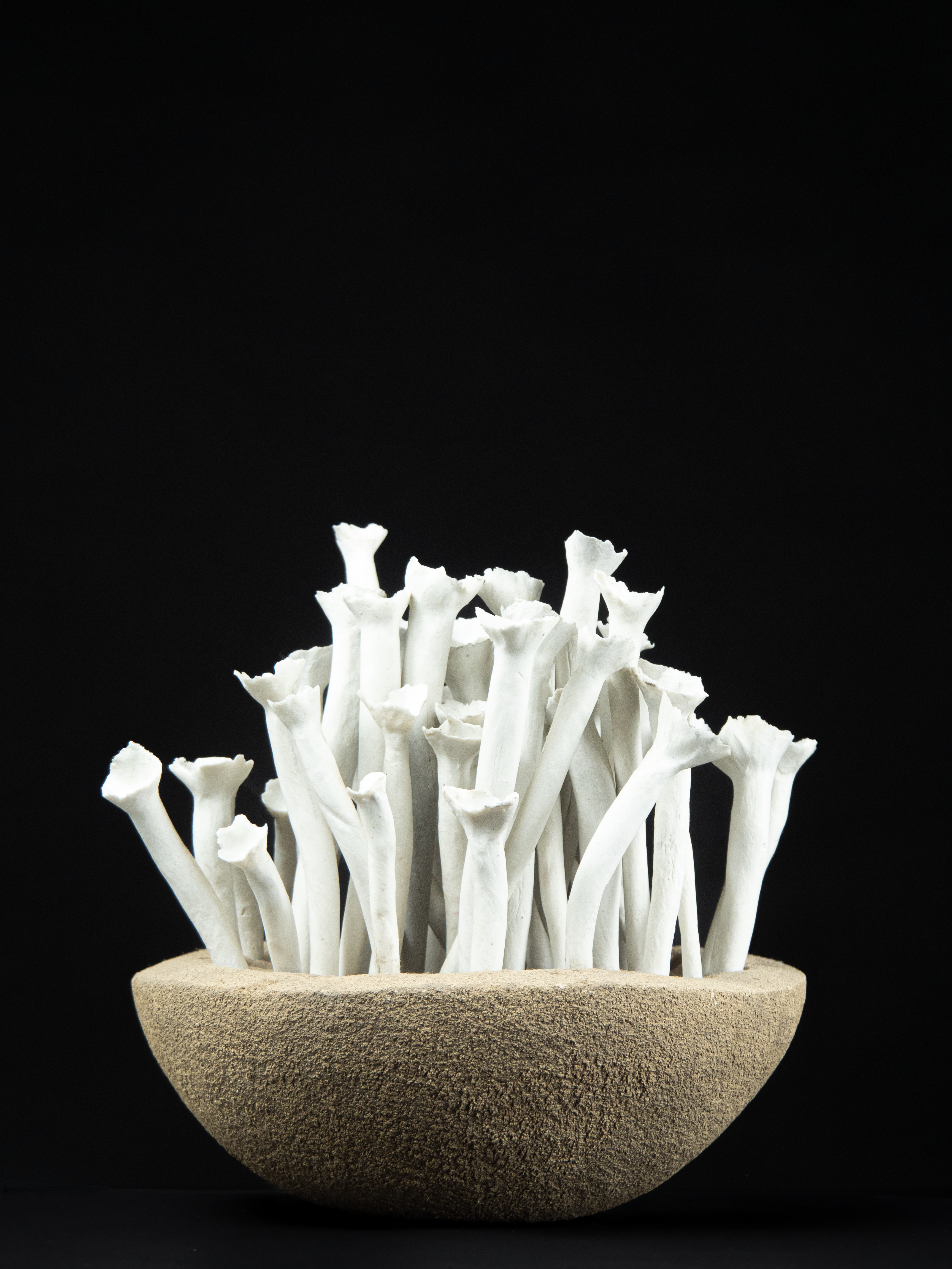 Céramique Artisanale – Anne-Marie Deloire – Le Jardin des Fleurs de Poterie