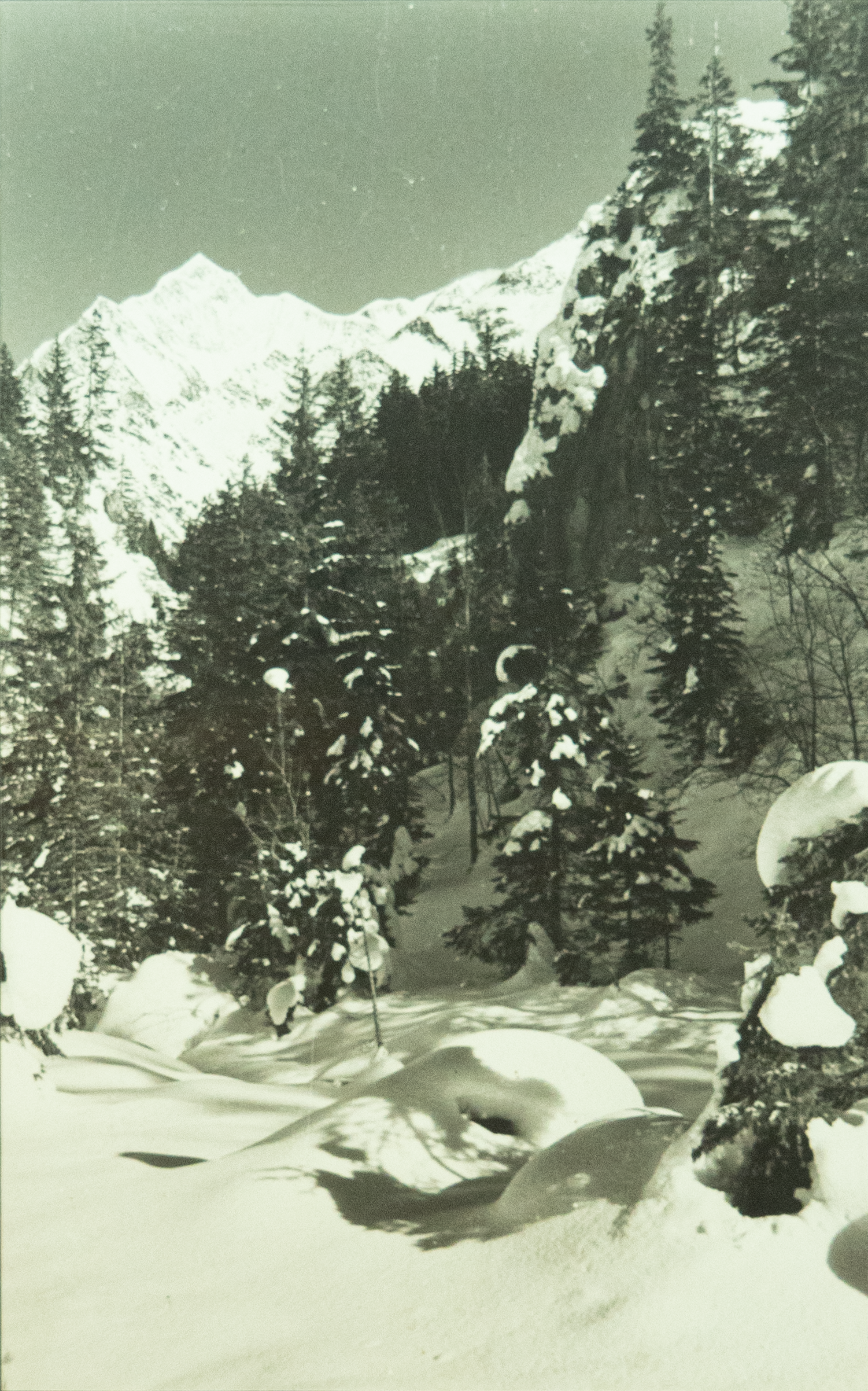 Photographie paysage enneigé
